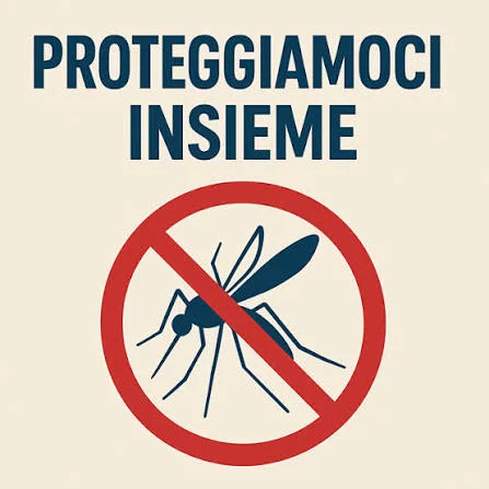 Immagine anteprima